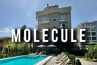 Molecule