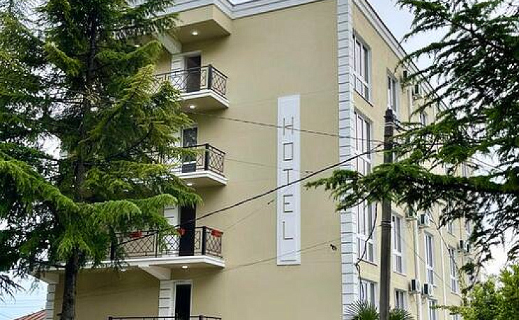 Олива - Изображение 7