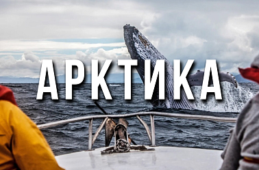 Тур в Арктику 2026